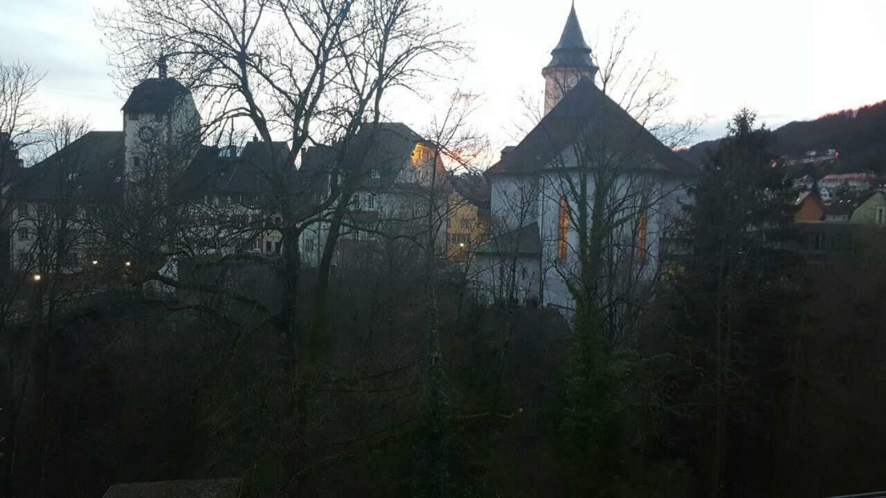 Waldshut Suite In Zentrum Kültér fotó